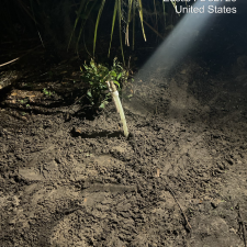 Efficient-Water-Main-Repair-Performed-In-Eustis 5
