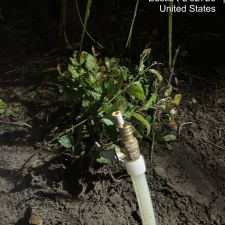 Efficient-Water-Main-Repair-Performed-In-Eustis 0
